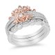 Crystal Rose Stackable Band Set in Titanium steel and Rose Copper and zinc alloy
